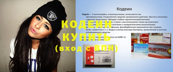 гидра Богородицк