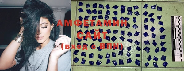 гидра Богородицк