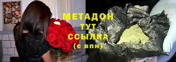 гидра Богородицк