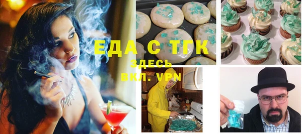 гидра Богородицк