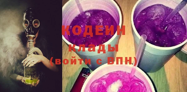 гидра Богородицк