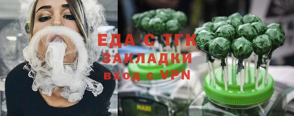 гидра Богородицк