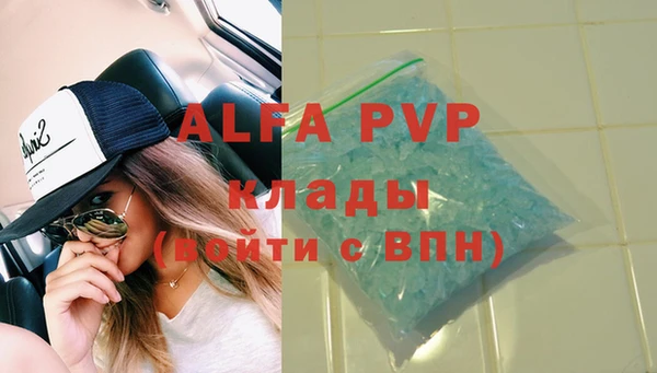 гидра Богородицк