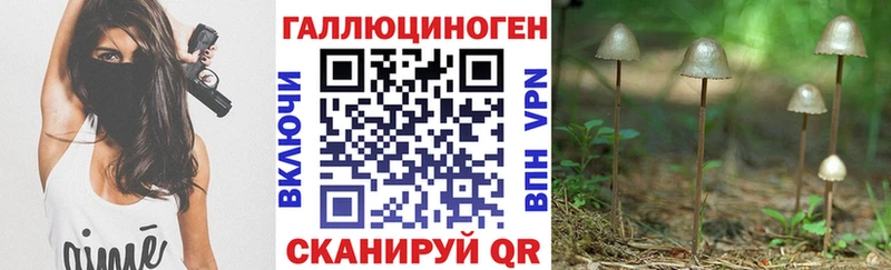 продажа наркотиков  Челябинск  Псилоцибиновые грибы Psilocybe 